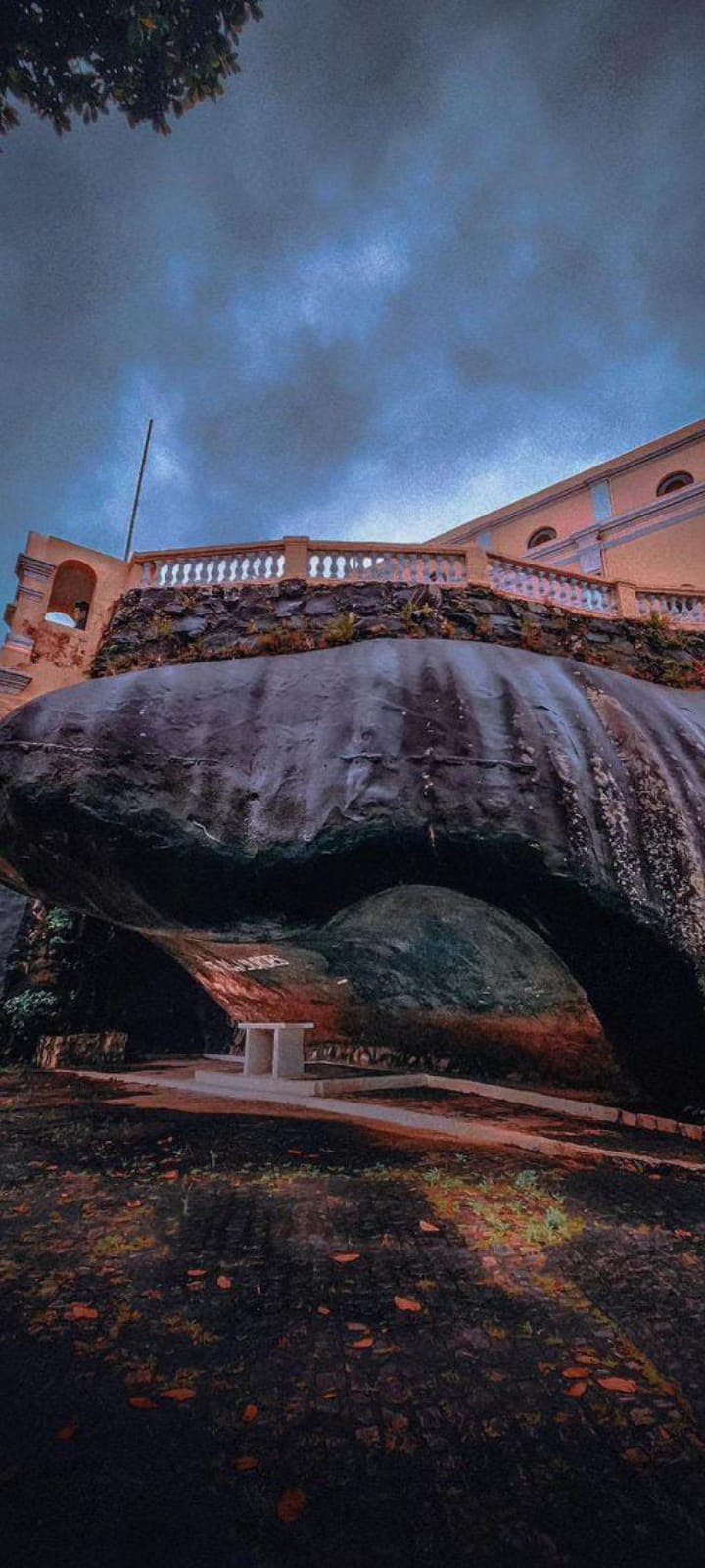 Jardins e áreas verdes - 3